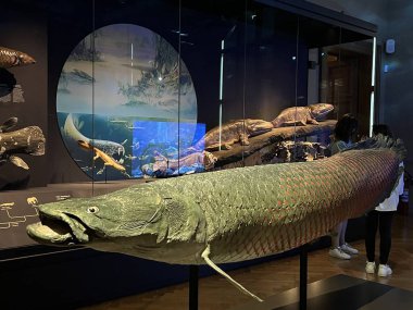 PRAG, CZECH Cumhuriyet - 7 Temmuz 2022 'de Çek Cumhuriyeti Prag' daki Ulusal Müze.