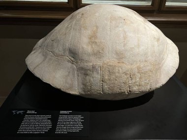 PRAG, CZECH Cumhuriyet - 7 Temmuz 2022 'de Çek Cumhuriyeti Prag' daki Ulusal Müze.