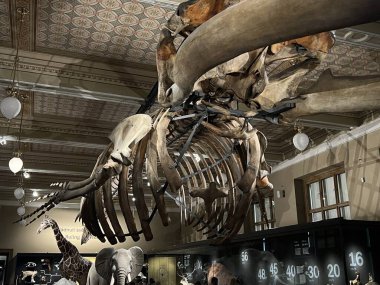 PRAG, CZECH Cumhuriyet - 7 Temmuz 2022 'de Çek Cumhuriyeti Prag' daki Ulusal Müze.