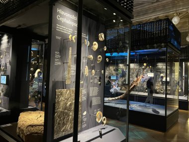 PRAG, CZECH Cumhuriyet - 7 Temmuz 2022 'de Çek Cumhuriyeti Prag' daki Ulusal Müze.