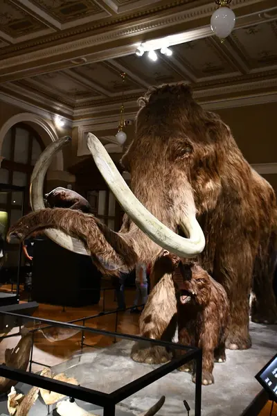 PRAG, CZECH Cumhuriyet - 7 Temmuz 2022 'de Çek Cumhuriyeti Prag' daki Ulusal Müze.