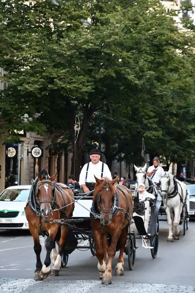 PRAG, CZECH CUBLIC - 8 Temmuz 2022 'de Çek Cumhuriyeti Prag' da At Arabası Gezisi.