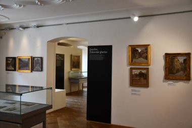 PRAG, CZECH CUBLIC - 8 Temmuz 2022 'de Çek Cumhuriyeti Prag Şehir Müzesi.