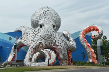 1 Temmuz 2023 'te Branson, Missouri' deki Boardwalk 'ta görülen akvaryum..