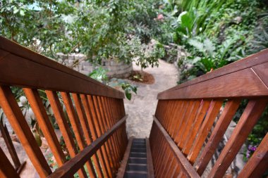 BRANSON, MO - 1 Temmuz 2023 'te Branson, Missouri' deki Kelebek Sarayı & Yağmur Ormanları Macerası.