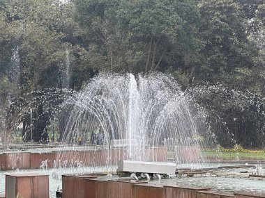 DELHI, INDIA - 18 Şubat 2024 'te Hindistan' ın Yeni Delhi kentindeki Rashtrapati Bhavan sahasındaki Babür Bahçeleri 'ndeki Çeşme (Amrit Udyan).