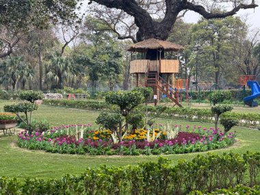 DELHI, INDIA - 18 Şubat: Mughal Gardens (Amrit Udyan) Yeni Delhi, Hindistan 'daki Rashtrapati Bhavan sahasında, 18 Şubat 2024' te görüldüğü gibi.