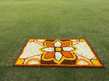 DELHI, INDIA - 18 Şubat: Mughal Gardens (Amrit Udyan) Yeni Delhi, Hindistan 'daki Rashtrapati Bhavan sahasında, 18 Şubat 2024' te görüldüğü gibi.