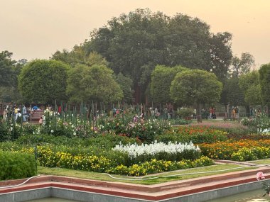 DELHI, INDIA - 18 Şubat: Mughal Gardens (Amrit Udyan) Yeni Delhi, Hindistan 'daki Rashtrapati Bhavan sahasında, 18 Şubat 2024' te görüldüğü gibi.