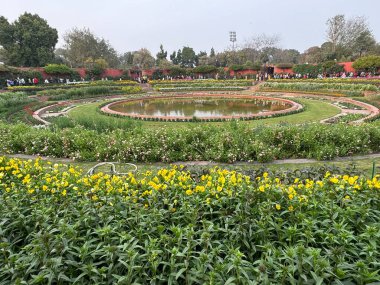 DELHI, INDIA - 18 Şubat: Mughal Gardens (Amrit Udyan) Yeni Delhi, Hindistan 'daki Rashtrapati Bhavan sahasında, 18 Şubat 2024' te görüldüğü gibi.