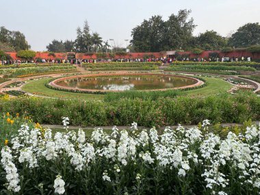 DELHI, INDIA - 18 Şubat: Mughal Gardens (Amrit Udyan) Yeni Delhi, Hindistan 'daki Rashtrapati Bhavan sahasında, 18 Şubat 2024' te görüldüğü gibi.