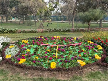 DELHI, INDIA - 18 Şubat: Mughal Gardens (Amrit Udyan) Yeni Delhi, Hindistan 'daki Rashtrapati Bhavan sahasında, 18 Şubat 2024' te görüldüğü gibi.