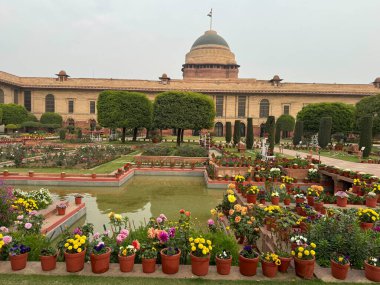 DELHI, INDIA - 18 Şubat 2024 'te Hindistan' ın Yeni Delhi kentindeki Moğol Bahçeleri 'nden (Amrit Udyan) Rashtrapati Bhavan' ın görüntüsü.