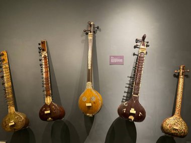DELHI, INDIA - 18 Şubat: Vaiya - 18 Şubat 2024 'te Hindistan' ın Yeni Delhi kentindeki Ulusal El Sanatları Müzesi & Hastkala Akademisi 'nde Halk Müziği ve Klasik Müzik Aletleri Sergisi.