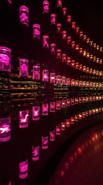 DUBAI, BAE - 29 Aralık 2023 'te Dubai, BAE' deki Geleceğin Müzesi 'ndeki Kütüphane sergisi.