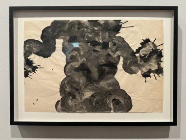NEW YORK New York - 14 Ocak 2024 'te Whitney Sanat Müzesi' nde Ruth Asawa 'nın 
