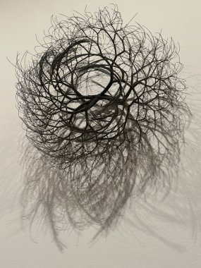 NEW YORK New York - 14 Ocak 2024 'te Whitney Sanat Müzesi' nde Ruth Asawa 'nın 