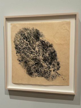 NEW YORK New York - 14 Ocak 2024 'te Whitney Sanat Müzesi' nde Ruth Asawa 'nın 