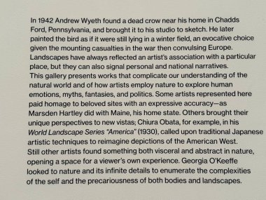 NEW YORK NY - 14 Ocak 2024 'te New York' taki Whitney Sanat Müzesi 'nde sergi.