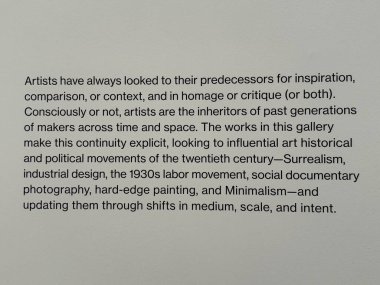 NEW YORK NY - 14 Ocak 2024 'te New York' taki Whitney Sanat Müzesi 'nde sergi.
