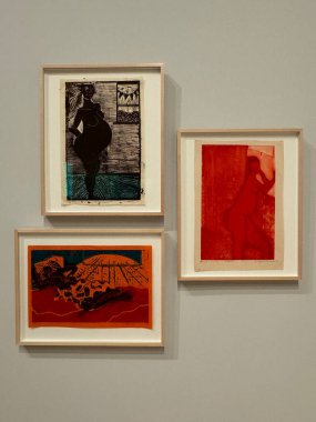 NEW YORK NY - 14 Ocak 2024 'te New York' taki Whitney Sanat Müzesi 'nde sergi.