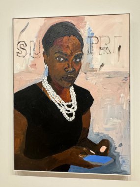 NEW YORK NY - 14 Ocak 2024 'te New York' taki Whitney Sanat Müzesi 'nde sergi.