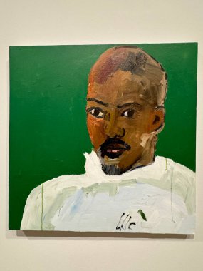 NEW YORK NY - 14 Ocak 2024 'te New York' taki Whitney Sanat Müzesi 'nde sergi.