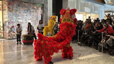 NEW YORK, New York - 27 Ocak 2024 'te Hudson Yards, New York' ta Çin Yeni Yıl Kutlamalarında Aslan Dansı.