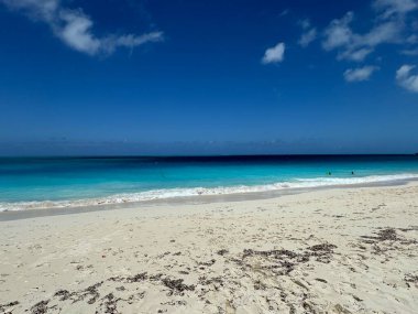 Providenciales 'teki Grace Körfezi Sahili, Turks ve Caicos Adaları.
