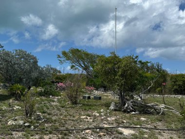 PROVIDENCIALES, TCI - 18 Nisan 2024 'te görüldüğü üzere, Providenciales' teki Cheshire Hall Plantation, Turks ve Caicos Adaları 'nda.