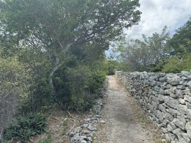 PROVIDENCIALES, TCI - 18 Nisan 2024 'te görüldüğü üzere, Providenciales' teki Cheshire Hall Plantation, Turks ve Caicos Adaları 'nda.