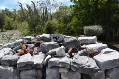 PROVIDENCIALES, TCI - 18 Nisan 2024 'te görüldüğü üzere, Providenciales' teki Cheshire Hall Plantation, Turks ve Caicos Adaları 'nda.