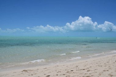 Providenciales 'teki Long Bay Sahili, Turks ve Caicos Adaları.