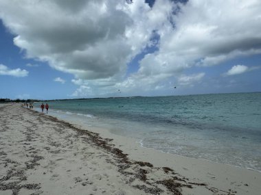 PROVIDENCIALES, TURKS & CAICOS Adaları - 17 Nisan: Providenciales, Turks ve Caicos Adalarındaki Prenses Alexandra Ulusal Parkı, 17 Nisan 2024.