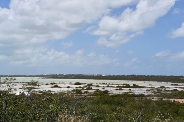Türkler ve Caicos Adalarındaki Providenciales 'ten ManzaraName