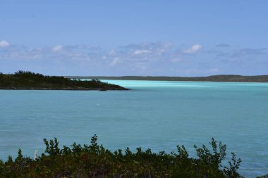 Türkler ve Caicos Adası 'ndaki Providenciales kıyılarında tebeşir sesleri