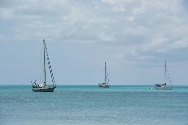 PROVIDENCIALES, TCI - 19 Nisan 2024 'te Türk ve Caicos Adalarındaki Providenciales' teki Sapodilla Körfezi Sahili 'nde yelkenliler görüldü..