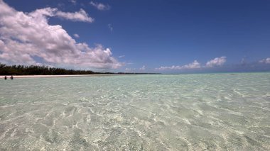 Turks ve Caicos Adalarındaki Bambarra Plajı