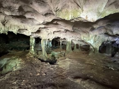 Turks ve Caicos Adalarındaki Orta Caicos Adası 'ndaki Deniz Kabuğu Mağaraları