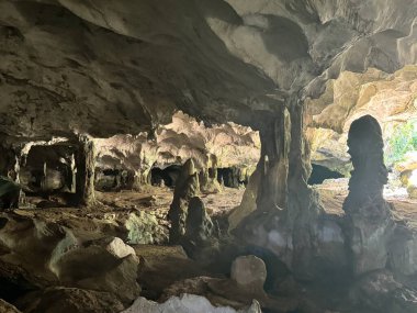 Turks ve Caicos Adalarındaki Orta Caicos Adası 'ndaki Deniz Kabuğu Mağaraları