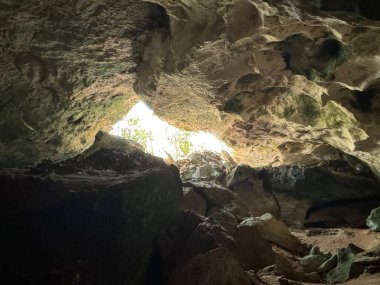 Turks ve Caicos Adalarındaki Orta Caicos Adası 'ndaki Deniz Kabuğu Mağaraları