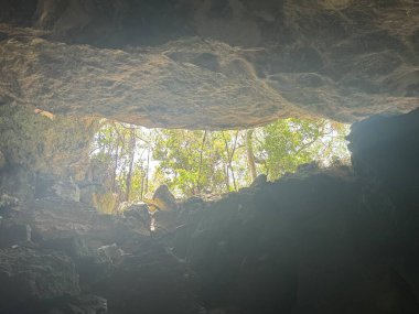 Turks ve Caicos Adalarındaki Orta Caicos Adası 'ndaki Deniz Kabuğu Mağaraları