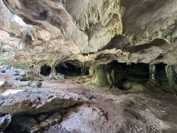 stock image Conch Bar Caves on the island of Middle Caicos in the Turks and Caicos Islands