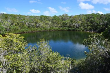 Kuzey Caicos 'taki Turks ve Caicos Adalarındaki Kulübe Gölü