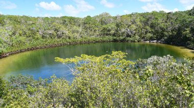 Kuzey Caicos 'taki Turks ve Caicos Adalarındaki Kulübe Gölü