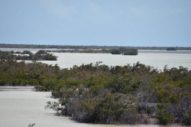 Turks ve Caicos Adalarındaki Kuzey Caicos adasında Flamingo Pond Overlook