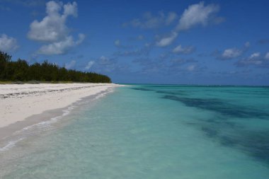 Turks ve Caicos Adalarındaki Kuzey Caicos 'taki At Ahırı Sahili' nden görüntü