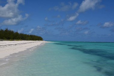 Turks ve Caicos Adalarındaki Kuzey Caicos 'taki At Ahırı Sahili' nden görüntü