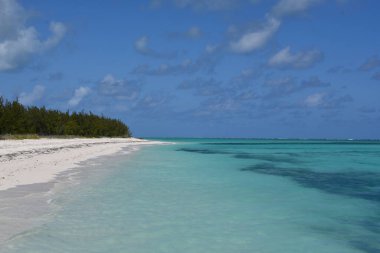 Turks ve Caicos Adalarındaki Kuzey Caicos 'taki At Ahırı Sahili' nden görüntü