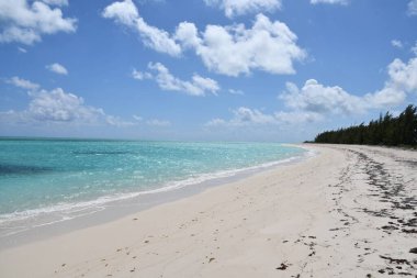 Turks ve Caicos Adalarındaki Kuzey Caicos 'taki At Ahırı Sahili' nden görüntü
